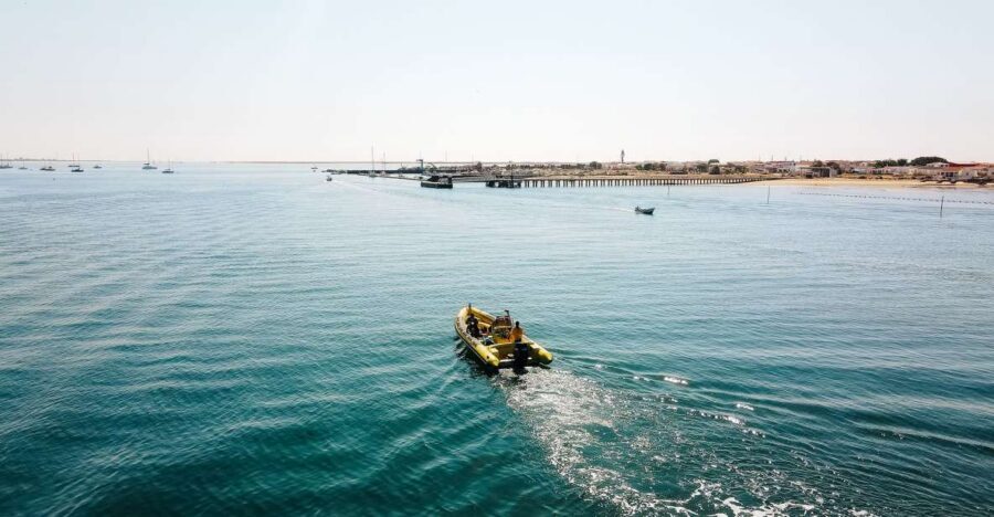 From Faro: Ria Formosa Hop-On Hop-Off 3 Islands Cruise - Quick hits