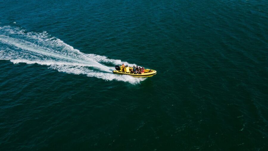 From Faro: Ria Formosa Hop-On Hop-Off 3 Islands Cruise - Desert Island: Beach Time, Wildlife Watching, and the Cape Saint Mary Walk
