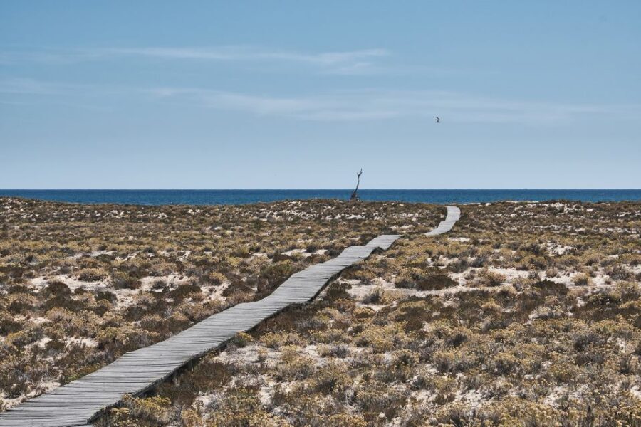 From Faro: Ria Formosa Hop-On Hop-Off 3 Islands Cruise - Culatra Island at Low Tide: Oyster Farms, Church and School, and Fishing Life