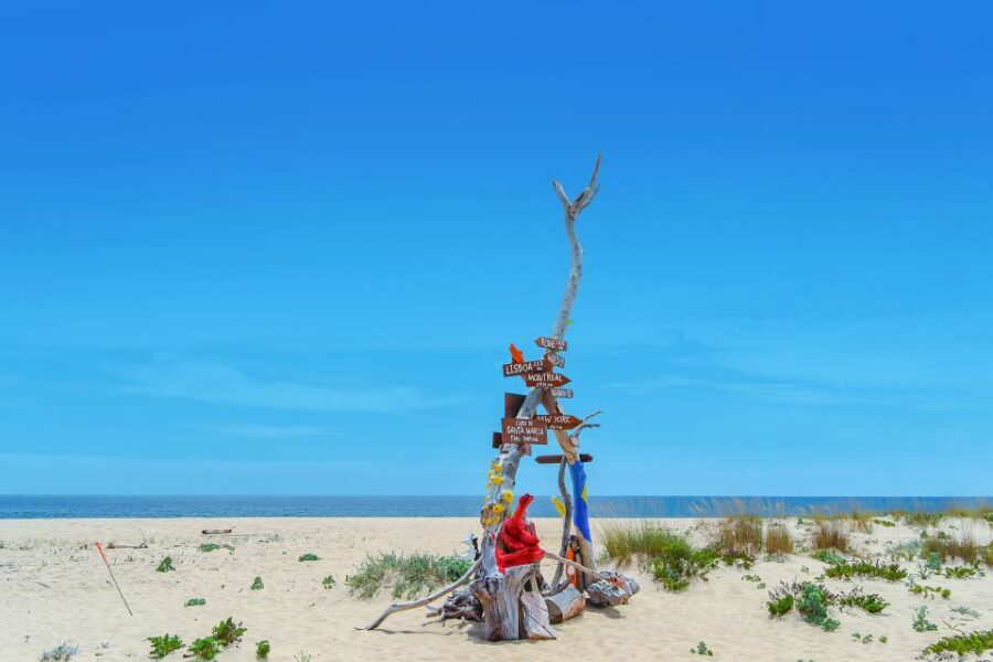 From Faro: Ria Formosa Hop-On Hop-Off 3 Islands Cruise - Best Time for Your Style of Day