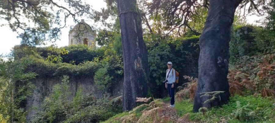From Lagos: Monchique Private Guided Hike + Medronho Tasting - What to pack and how to match your shoes to the trails