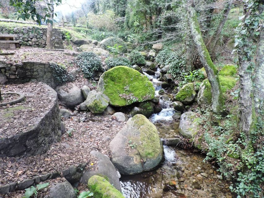 From Lagos: Monchique Private Guided Hike + Medronho Tasting - Monchique Village on foot: alleys, chimneys, and a slower start
