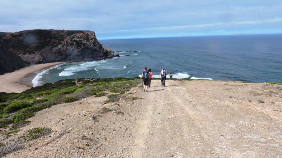 From Lagos: Private Guided Hike along the Vicentina Coast - Key things I’d anchor on before you go