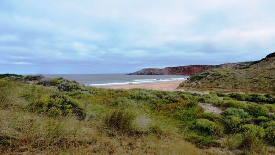 From Lagos: Private Guided Hike along the Vicentina Coast - Why the Vicentina Coast feels like real Portugal (not just postcards)
