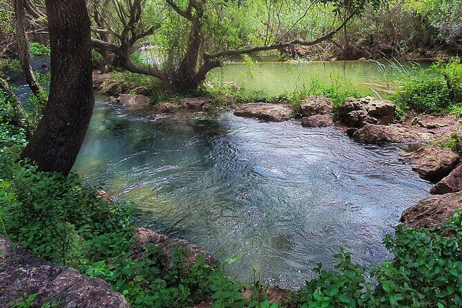 Hills & Thrills: 4 Hr Fonte da Benémola Electric Motorbike Tour - From Almancil to the Via Algarviana: The Ride Starts Calm