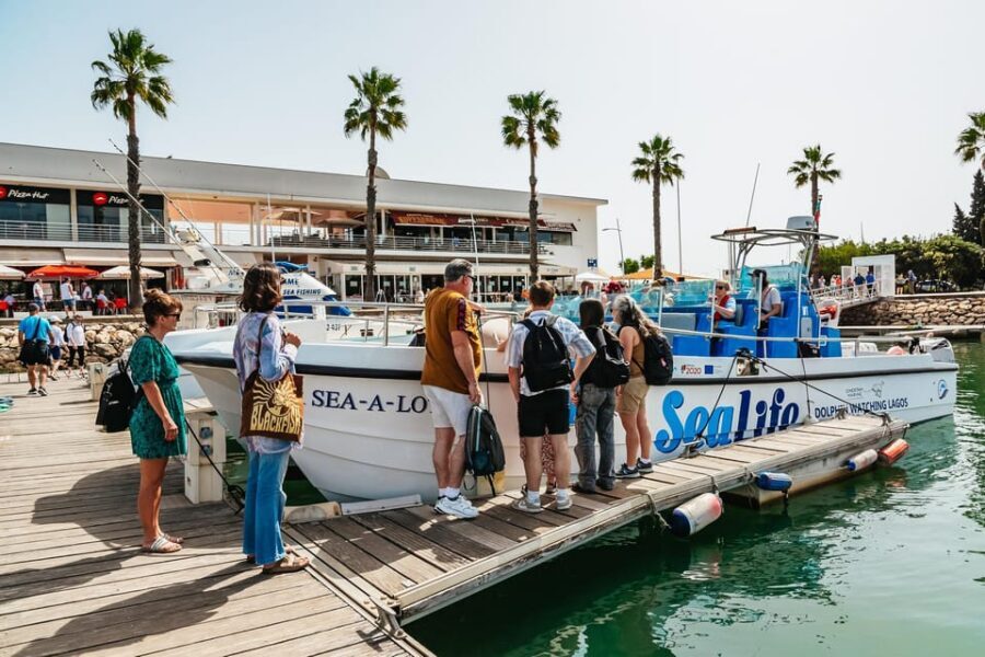 Lagos: Dolphin Watch Tour with Professional Marine Biologist - Price and value: is $42 fair for this Algarve dolphin watch?