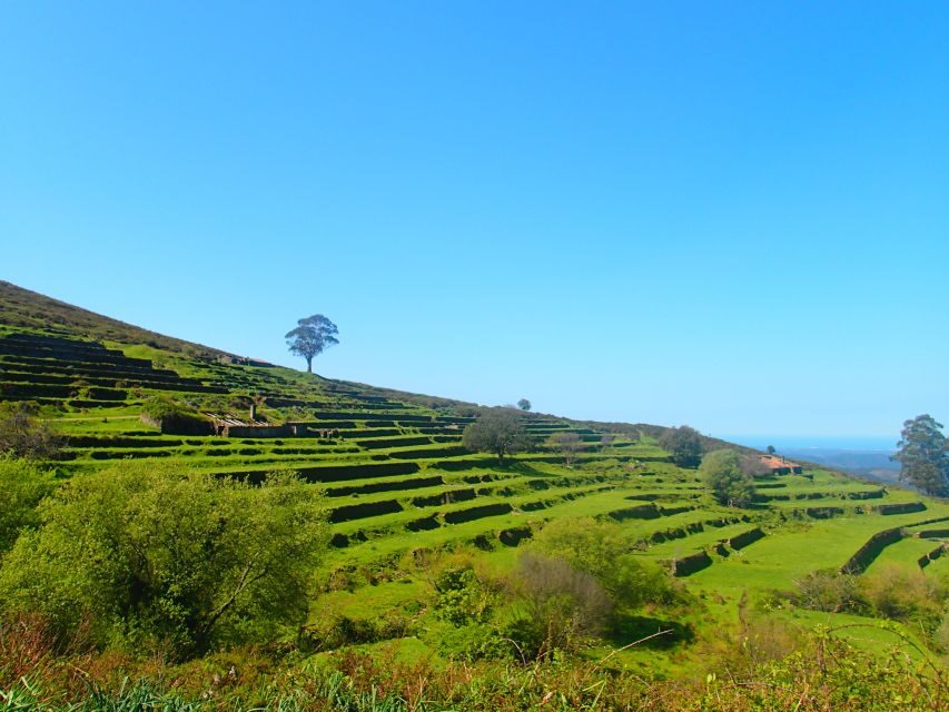 Monchique and Fóia: Half Day Tour - Getting Up the Mountain From Lagos Without the Hassle