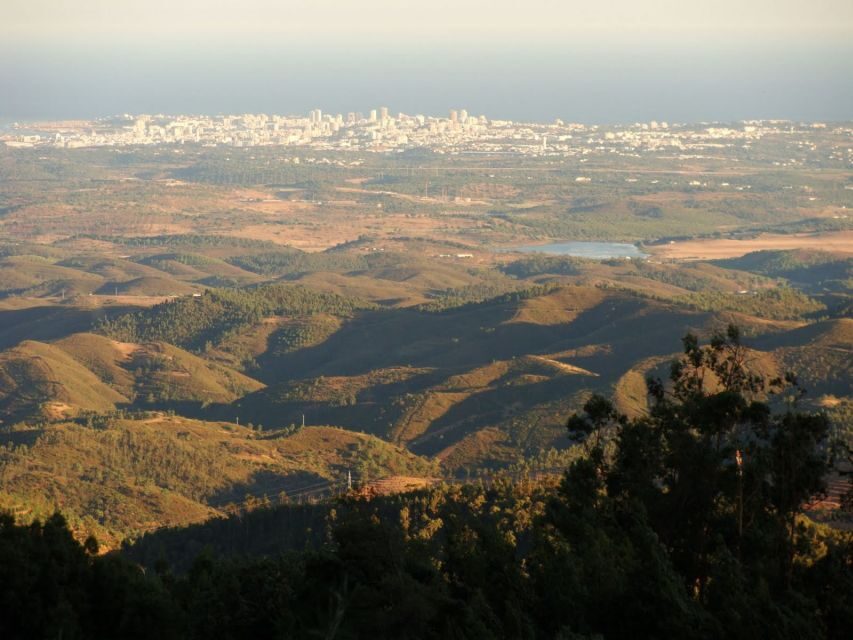 Monchique and Fóia: Half Day Tour - What You Gain From a Short Climb Instead of a Full Day