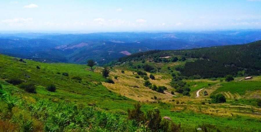 Monchique and Fóia: Half Day Tour - Should You Book the Monchique and Fóia Half Day Tour?