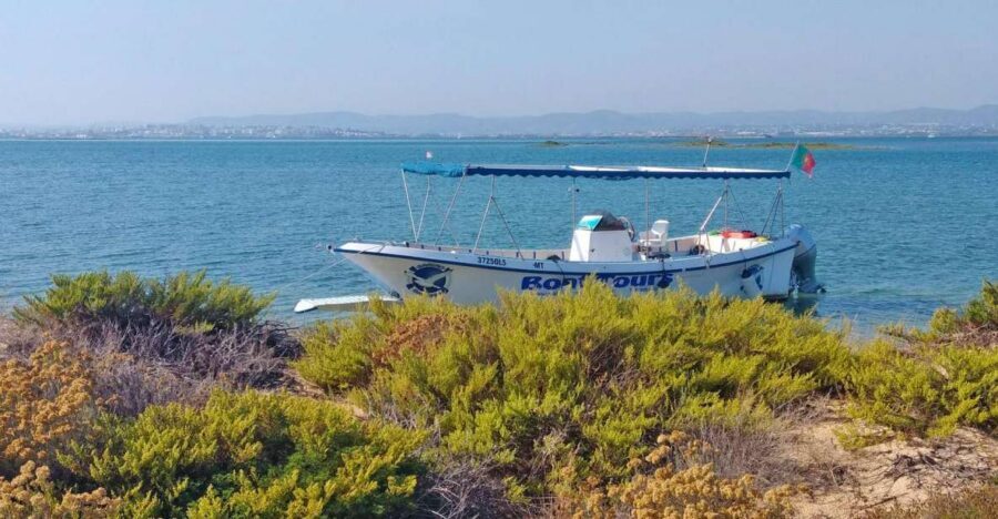Olhão: Private Boat Tour to Ria Formosa - Key Points to Know Before You Go