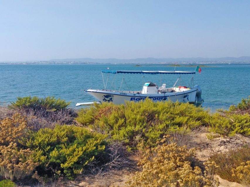 Olhão: Private Boat Tour to Ria Formosa - Who This Tour Fits Best