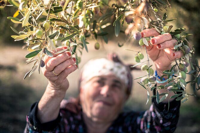 Olive Oil Private Tour in Portugal - Lunch in Olhão: seafood flavors where olive oil is part of the equation