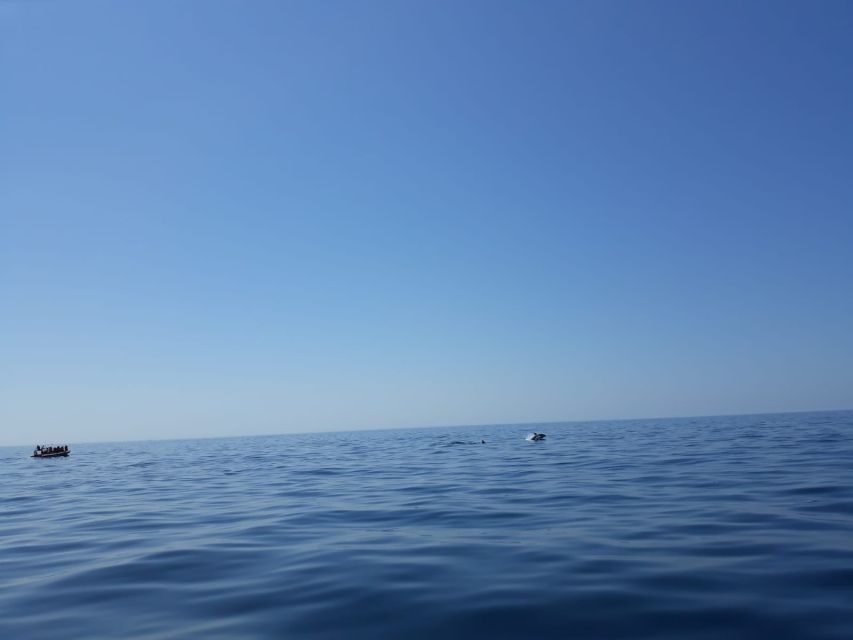 Portimão: Dophin Watching on the Algarve Coast - Algarve Coast From the Water: What the Ride Really Feels Like