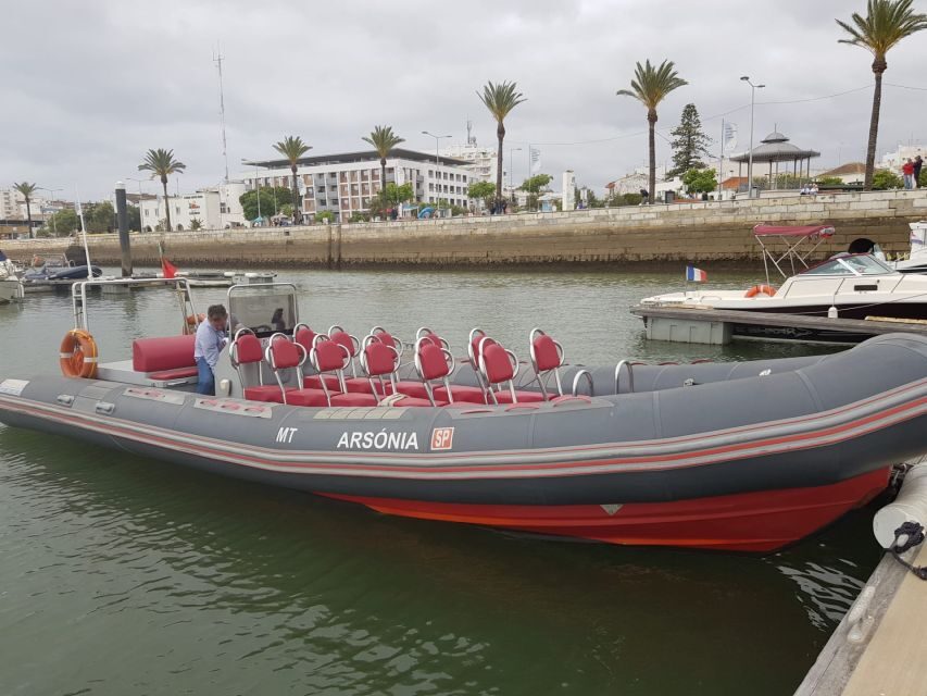 Portimão: Dophin Watching on the Algarve Coast - Price and Value for $51: Is It Worth It?