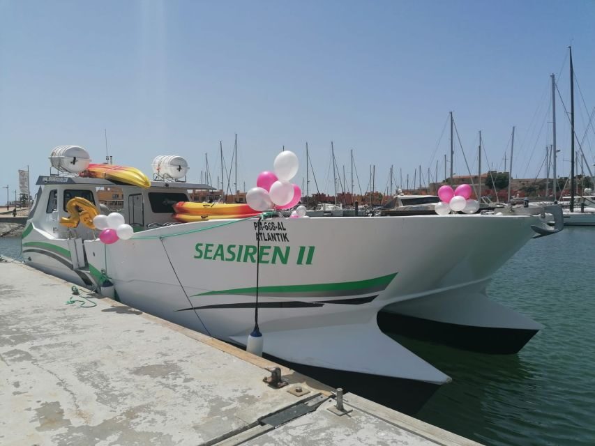 Portimão: Private Benagil Caves Catamaran and Kayak Tour - Key Things I Think You’ll Notice Fast