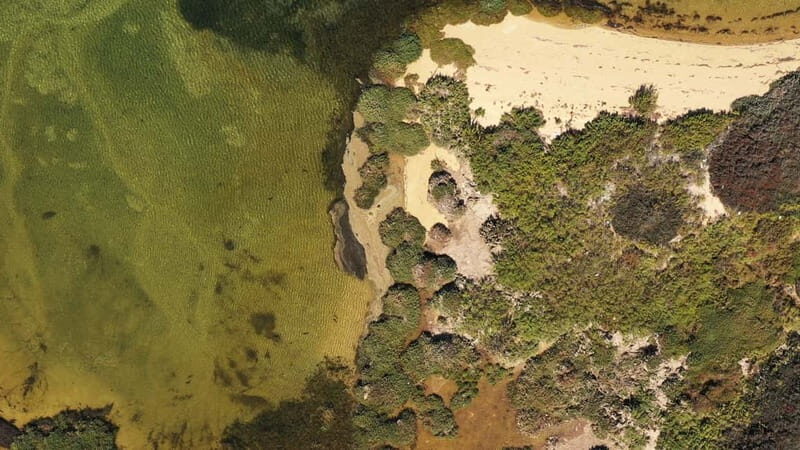 Ria Formosa: Armona and Culatra Islands 3-Hour Boat Tour - Olhão departure and the “on-water” flow
