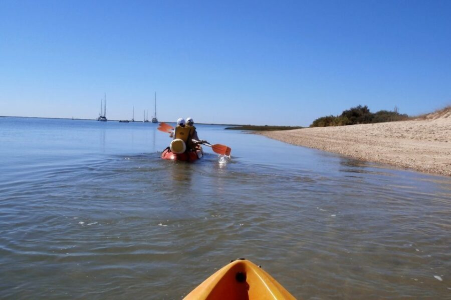Ria Formosa National Park: Kayak Trip - Who Should Book This Kayak Trip—and Who Should Skip It