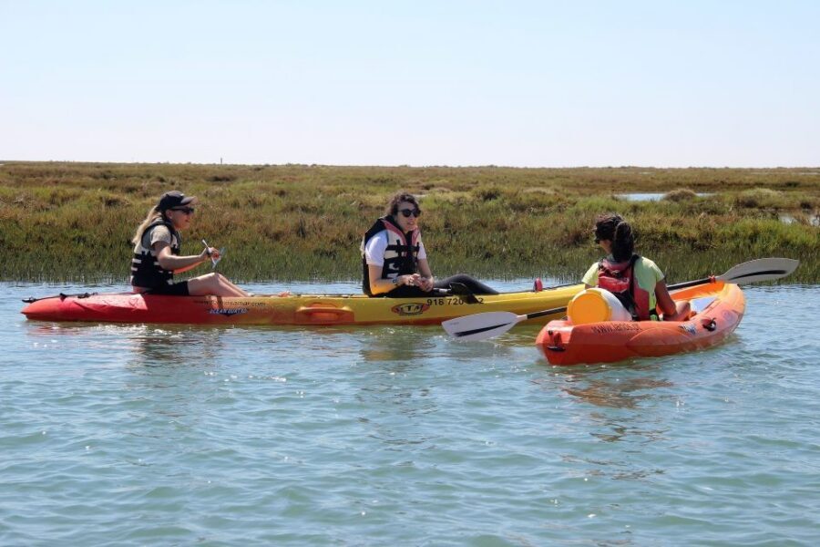 Ria Formosa National Park: Kayak Trip - Ria Formosa By Kayak: Why This Protected Lagoon Feels Different