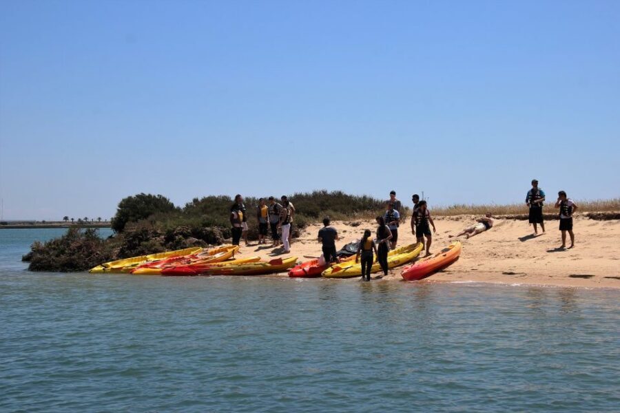 Ria Formosa National Park: Kayak Trip - Marshlands and Small Islets: Where the Tour Really Takes Off