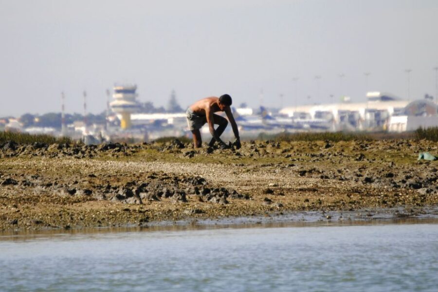 Ria Formosa National Park: Kayak Trip - What It’s Like on the Water: Calm, Wet, and Surprisingly Fun