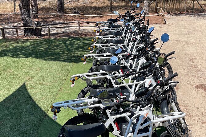 Ride the Day Away: Algarve: Affordable Premium 2×2 E-Bike Rentals - Price at about $60.08: where the value really shows up
