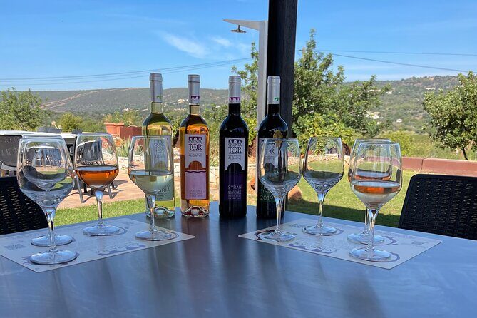 Ride & Wine: Scenic Quinta Da Tor Winery Electric 2x2 bike Tour - Electric 2x2 bikes meet Algarve wine country