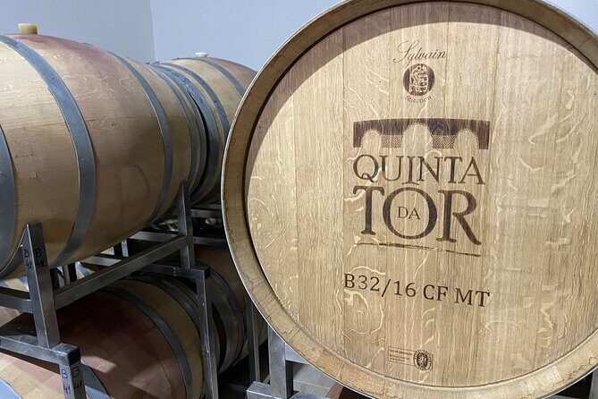 Ride & Wine: Scenic Quinta Da Tor Winery Electric 2x2 bike Tour - Who this is best for (and who may want to skip it)