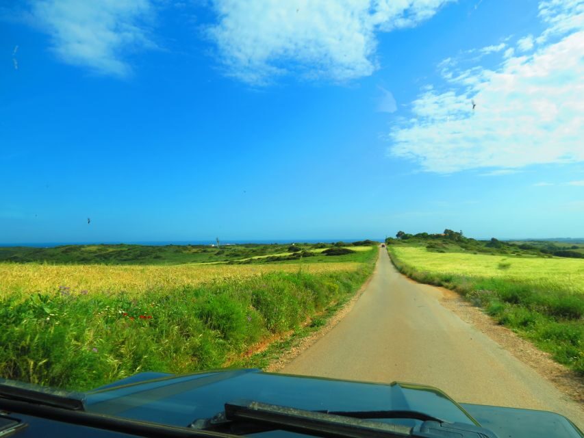 Serra de Monchique & Bravura Half Day Off-Road Day Trip - Who should book this off-road half-day (and who should skip it)