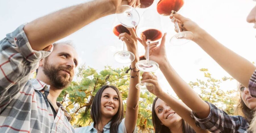 Silves: Algarvian Winery Tour and Tasting Experience - Key things that make this Silves winery tour worth your time