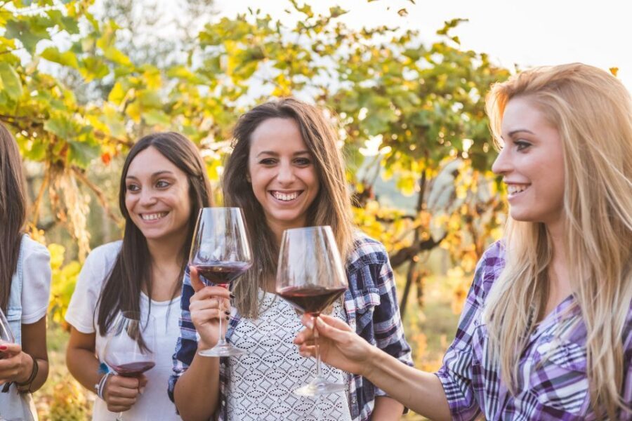 Silves: Algarvian Winery Tour and Tasting Experience - Who this Silves winery tour is best for