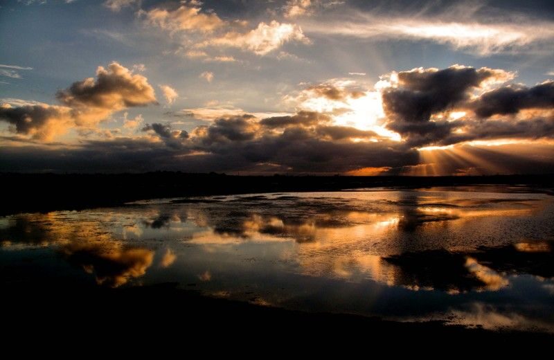 The Colors of Ria Formosa: Sunset Boat Trip in Faro - Key things I’d circle before you book