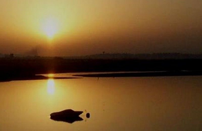 The Colors of Ria Formosa: Sunset Boat Trip in Faro - What happens on the 1.5-hour boat cruise (and why timing matters)