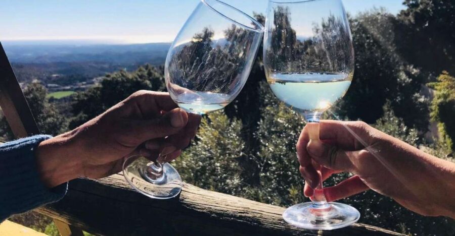 The Real Algarve: 2 Boutique Wineries & Silves Tour - Getting From Albufeira To Lagoa Without Stress