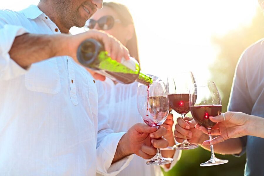 The Real Algarve: 2 Boutique Wineries & Silves Tour - Booking Tips That Make the Day Easier