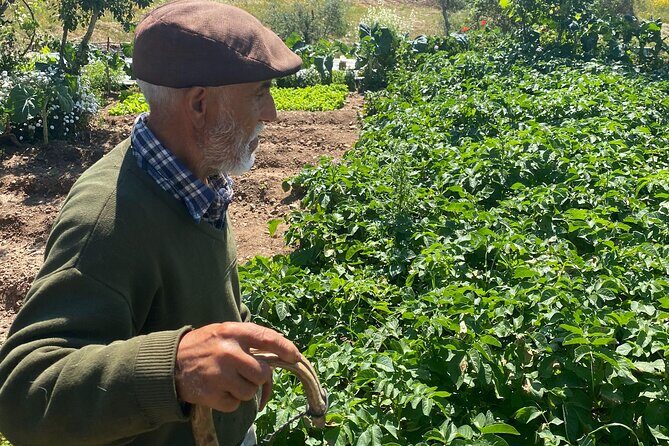 Walk in the Hills with Goat Herder-Local Honey, Wine and Cheese Tasting - Practical Tips for a Smooth 2-Hour Afternoon Countryside Plan