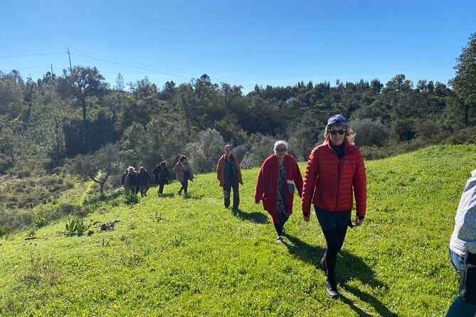 Walk in the Hills with Goat Herder-Local Honey, Wine and Cheese Tasting - Should You Book This Goat Herder Walk and Tasting?